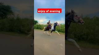 enjoy the evening with horse riding singlefootinghorseriding horselover hard human horse riding 🐎 [upl. by Ki]