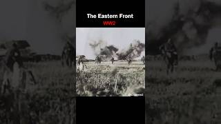 WW2 The Eastern Front 1943  Real Sound No Music shorts ww2 [upl. by Stace]