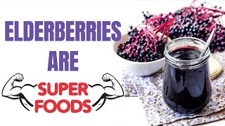 10 Amazing Health Benefits of Elderberry YOU NEED I Elderberry Benefits [upl. by Katerina]