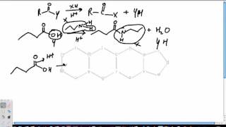 Amidation of Carboxylic Acids [upl. by Golanka505]