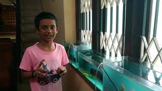 HOME  FISH TANK  MALAYALAM  TANK SETUP  Aquarium for Beginners [upl. by Rol]