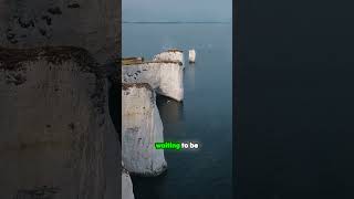 Unearth Ancient Treasures at Møns Klint nature shorts denmark [upl. by Ponzo674]