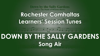 Down by the Sally Gardens Song Air on Irish tenor banjo for the Rochester CCE Learners Session [upl. by Aiht]