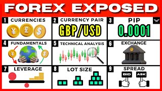 Forex Trading For Beginners FREE FULL COURSE [upl. by Yelnats662]