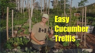 Trellis Basics Part 4 Strong Trellis for Cucumbers [upl. by Claudina]