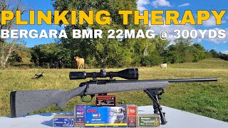 Bergara BMR 22WMR at 300 Yards Plinking Therapy 3 [upl. by Dnilazor]