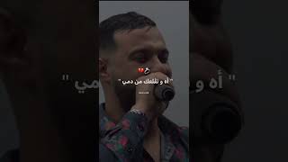 Cheb Momo 2024  نطرطق عروقي بالخدمي [upl. by Anim]