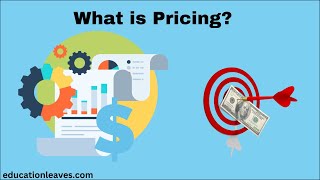 What is Pricing in marketing  Pricing strategies [upl. by Froma]