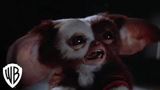 GREMLINS 3 2024 Steven Spielberg  New Upcoming Movies 4K [upl. by Nairrad527]