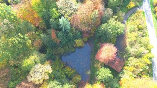 Mit der BMW 1200 GS im Spätherbst durch das Wiehengebirge und die Herbstfarben genießen [upl. by Trixi841]