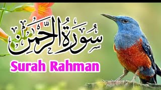 سورة الرحمٰن Surah Rahman beautiful recitation [upl. by Kyre]