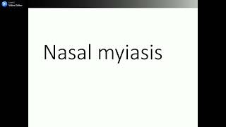 LECTURE NASAL MYIASIS [upl. by Hertzfeld]