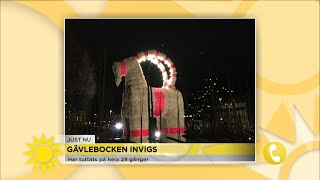 Gävlebocken invigs under söndagen ”Svårt att göra ett attentat mot gävlebocke…  Nyhetsmorgon TV4 [upl. by Walczak]