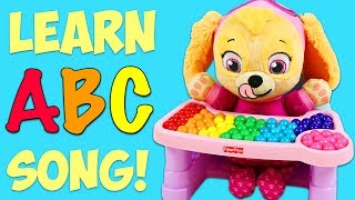 LEARN the ABC Song with Paw Patrol Baby Skye [upl. by Towny799]