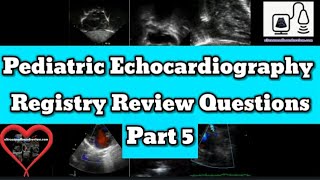 Pediatric Echocardiography Registry Review [upl. by Adirem]