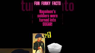 Napoleon’s soldiers were turned into SUGAR [upl. by Annamarie]