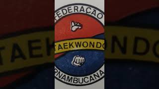 TAEKWONDO  Mestre Renato dos Santos taekwondo tkd shorts viral viralvideo lutas martialarts [upl. by Bever]