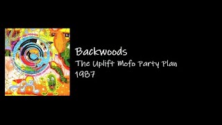 Red Hot Chili Peppers  Backwoods Legendado PTBR [upl. by Kado]