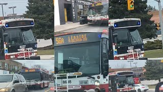 🇨🇦TTC Toronto Bus Captures from car in Etobicoke Downtown Toronto East York North York 1242023 [upl. by Torrence]