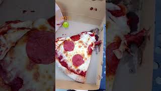 THE WORST PIZZA 🍕 🤢 Ive Ever ATE DTATELEVISION [upl. by Alda585]