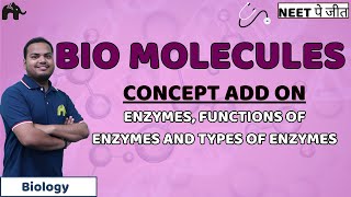 Biomolecules Class 11 Biology NEET  Enzymes  Classification Nomenclature Function amp Types [upl. by Lenora]