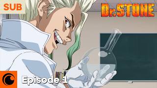 Dr STONE Episode 1  Stone World [upl. by Atirehc]