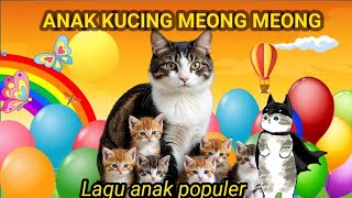 KOMPILASI LAGU ANAK INDONESIA  LAGU ANAK KUCING MEONG MEONG DAN LAGU ANAK LAINNYA POPULER 2024 [upl. by Akemrej]