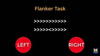 AFNI Tutorial 2 The Flanker Task [upl. by Norford769]