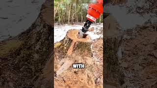 Impressive Machines That Remove Tree Stumps in Seconds 🌳💥 shorts [upl. by Gildas962]