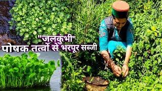 Watercress Vegetable Benefits Kinnaur HP [upl. by Ahsini]