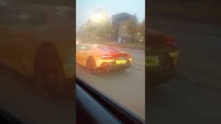 I Found An Orange Lambo 🧡🧡 coolcar cool lamborghini lambo [upl. by Pownall]