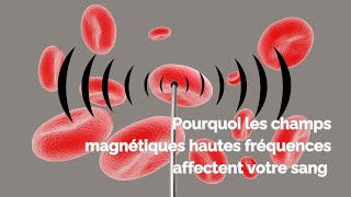 Pourquoi les ondes électromagnétiques hautes fréquences affectent votre sang [upl. by Trautman242]