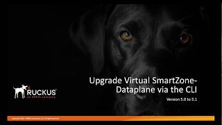 Upgrading Virtual SmartZoneData Plane vSZD Using the CLI [upl. by Desdamonna]