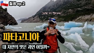 토레스 델 파이네 W 트레킹 1일차 파이네그란데 산장 그레이 빙하 왕복 22km 트레킹 [upl. by Atekahs]