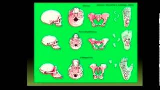 Matric Revision Life Sciences origins 513 bipedalism 34 anatomical differences 23 [upl. by Goetz]