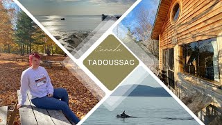 Tadoussac Kanada  Baumhaus Übernachtung amp Whale Watching [upl. by Aneret]