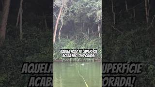 Acaba não temporada fisgadagarantida pescaria pesca pesqueiros [upl. by Lasorella]