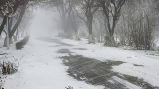 💨 Winter Storm Ambience with Howling Blizzard and Drifting Snow on an Abandoned Road in Norway [upl. by Loriner350]