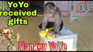 Monkey Yoyo received a gift Ms Kim Nhung  Monkey Baby Yoyo [upl. by Kimble350]