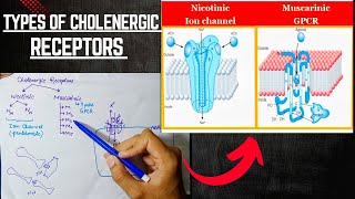 Cholenergic Receptors  Cholenergic System  ANS Pharmacology [upl. by Eadwina]