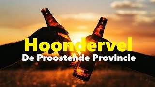 Hoondervel  De Proostende Provincie  FINALE LVK 2020  KARAOKE [upl. by Rez108]