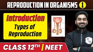 Reproduction in Organisms 01  Introduction  Life Span  Types of Reproduction  Class 12thNEET [upl. by Ardnoet]