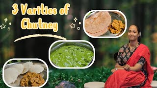 Three Varieties of Chutney  Side dish for Idly Dosa  Recipe in Tamil ammavinsamayalaraiyil [upl. by Ellimaj]