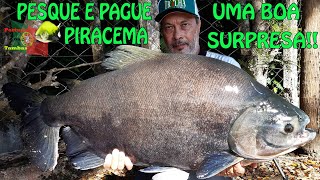 PESQUE PAGUE PIRACEMA  UMA BOA SURPRESA [upl. by Hoag]