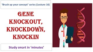 Differences between gene knockout knockdown and knockin [upl. by Cesare]