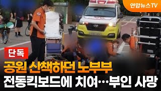 단독 공원 산책하던 노부부 전동킥보드에 치여…부인 사망  연합뉴스TV YonhapnewsTV [upl. by Eniledam]