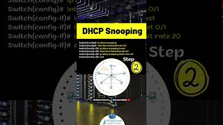 Configure DHCP Snooping in 3 Steps  Quick Configs  IPCiscocom cisco ccna [upl. by Joya]