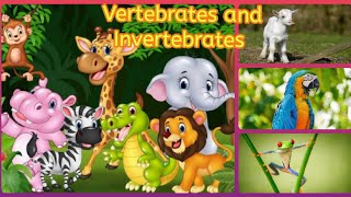 Classification of animals  Vertebrates and Invertebrates [upl. by Naejarual]