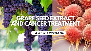 Grape Seed Extract In Cancer Therapy an New research in cancer treatment [upl. by Maje]