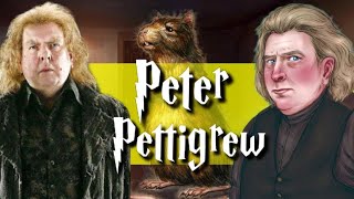 The Entire Life Of Peter Pettigrew Harry Potter Explained [upl. by Celisse419]